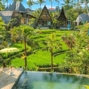 https://menzel-ubud.ubudhotelsnow.com