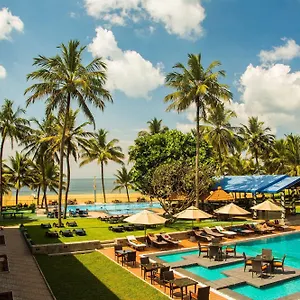 https://camelot-beach.negombohotels.net